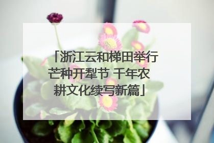 浙江云和梯田举行芒种开犁节 千年农耕文化续写新篇