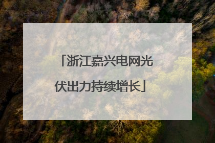 浙江嘉兴电网光伏出力持续增长