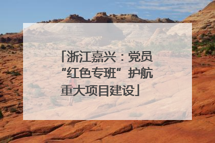 浙江嘉兴：党员“红色专班”护航重大项目建设