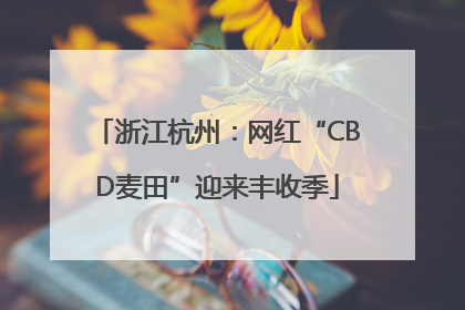 浙江杭州：网红“CBD麦田”迎来丰收季