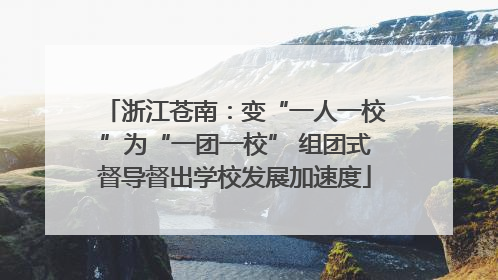 浙江苍南：变“一人一校”为“一团一校” 组团式督导督出学校发展加速度