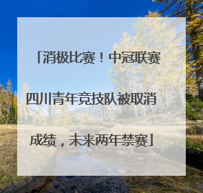 消极比赛！中冠联赛四川青年竞技队被取消成绩，未来两年禁赛