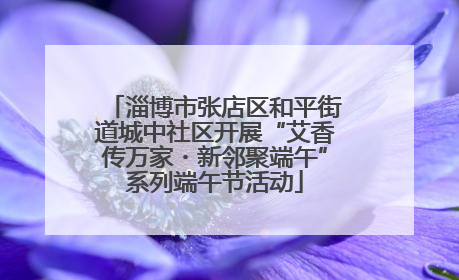 淄博市张店区和平街道城中社区开展“艾香传万家・新邻聚端午”系列端午节活动