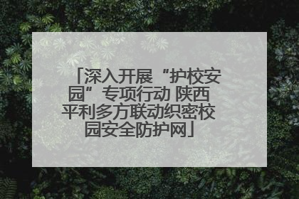 深入开展“护校安园”专项行动 陕西平利多方联动织密校园安全防护网