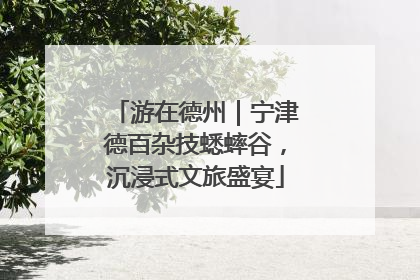 游在德州｜宁津德百杂技蟋蟀谷，沉浸式文旅盛宴