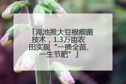 渑池推大豆根瘤菌技术，1.3万亩农田实现“一播全苗、一生节肥”