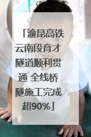 渝昆高铁云南段育才隧道顺利贯通 全线桥隧施工完成超90%