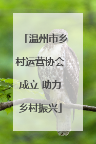 温州市乡村运营协会成立 助力乡村振兴