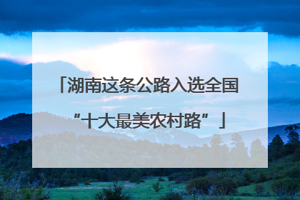 湖南这条公路入选全国“十大最美农村路”