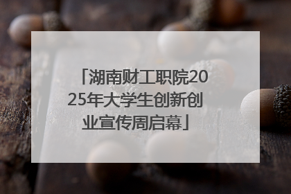 湖南财工职院2025年大学生创新创业宣传周启幕
