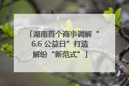 湖南首个商事调解“6.6 公益日”打造解纷“新范式”