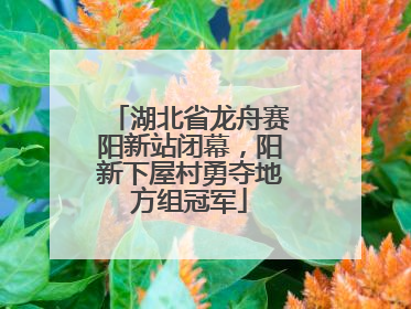 湖北省龙舟赛阳新站闭幕，阳新下屋村勇夺地方组冠军