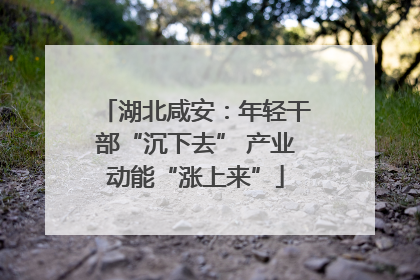 湖北咸安：年轻干部“沉下去” 产业动能“涨上来”