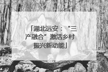 湖北远安：“三产融合”激活乡村振兴新动能