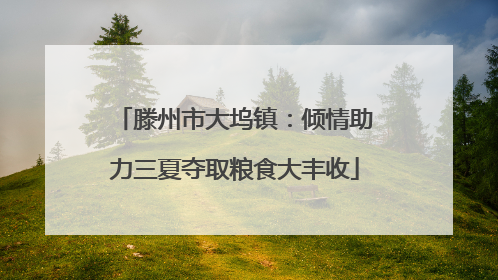 滕州市大坞镇：倾情助力三夏夺取粮食大丰收