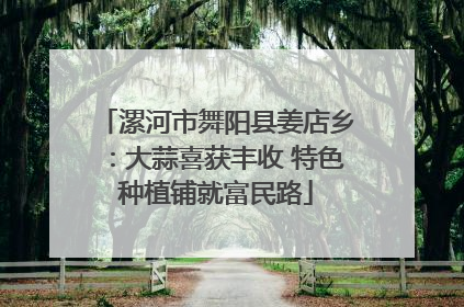 漯河市舞阳县姜店乡：大蒜喜获丰收 特色种植铺就富民路