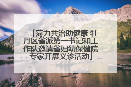 菏力共治助健康 牡丹区省派第一书记和工作队邀请省妇幼保健院专家开展义诊活动