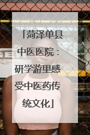 菏泽单县中医医院：研学游里感受中医药传统文化