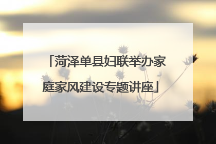 菏泽单县妇联举办家庭家风建设专题讲座