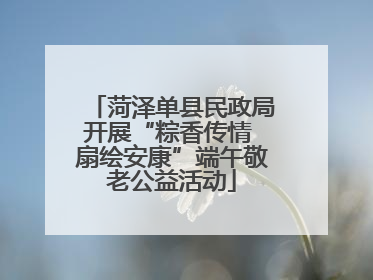 菏泽单县民政局开展“粽香传情 扇绘安康”端午敬老公益活动