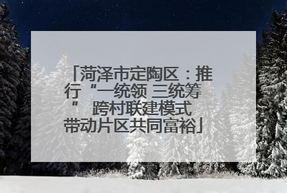 菏泽市定陶区：推行“一统领 三统筹” 跨村联建模式 带动片区共同富裕