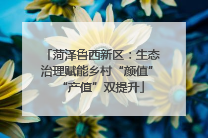 菏泽鲁西新区：生态治理赋能乡村“颜值”“产值”双提升
