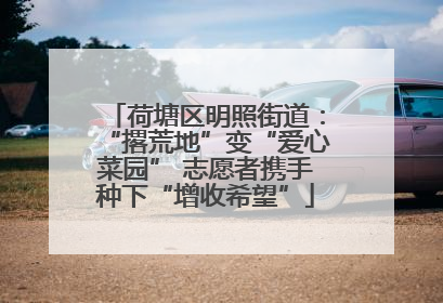 荷塘区明照街道：“撂荒地”变“爱心菜园” 志愿者携手种下“增收希望”