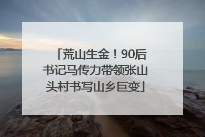 荒山生金！90后书记马传力带领张山头村书写山乡巨变