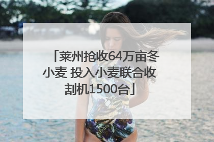 莱州抢收64万亩冬小麦 投入小麦联合收割机1500台