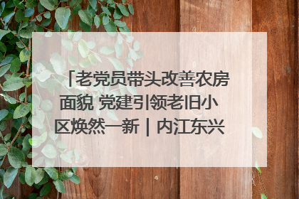 老党员带头改善农房面貌 党建引领老旧小区焕然一新｜内江东兴“红”在哪？④