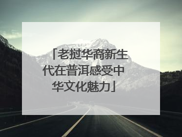 老挝华裔新生代在普洱感受中华文化魅力