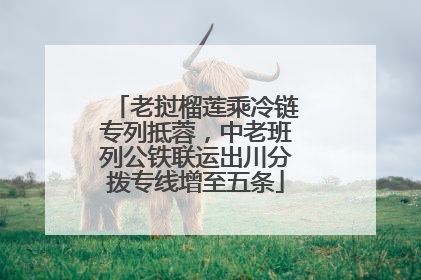 老挝榴莲乘冷链专列抵蓉，中老班列公铁联运出川分拨专线增至五条