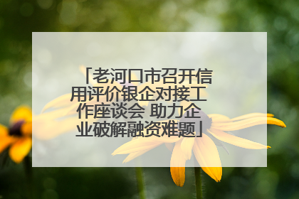 老河口市召开信用评价银企对接工作座谈会 助力企业破解融资难题