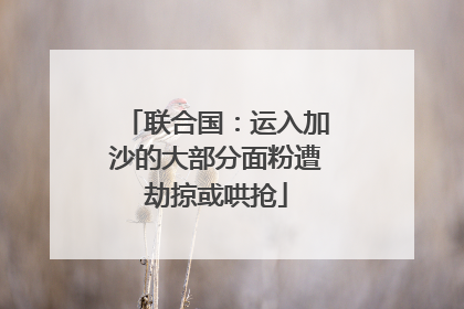 联合国：运入加沙的大部分面粉遭劫掠或哄抢