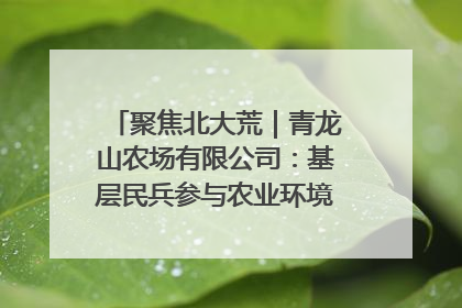 聚焦北大荒｜青龙山农场有限公司：基层民兵参与农业环境综合治理显效