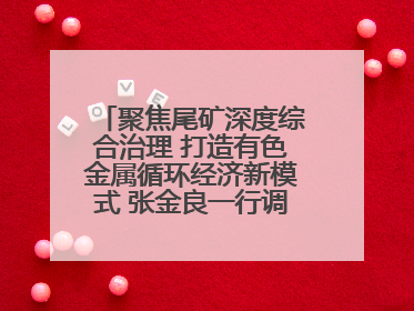 聚焦尾矿深度综合治理 打造有色金属循环经济新模式 张金良一行调研栾川县尾矿库综合治理工作