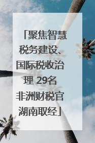 聚焦智慧税务建设、国际税收治理 29名非洲财税官湖南取经