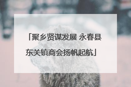 聚乡贤谋发展 永春县东关镇商会扬帆起航