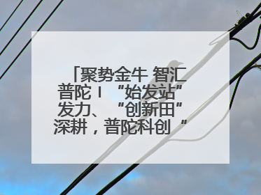 聚势金牛 智汇普陀〡“始发站”发力、“创新田”深耕，普陀科创“金牛”闪耀