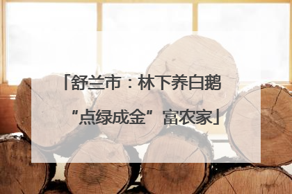 舒兰市：林下养白鹅 “点绿成金”富农家