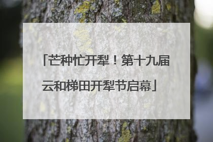 芒种忙开犁！第十九届云和梯田开犁节启幕