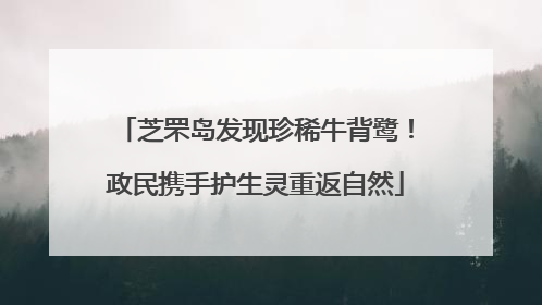 芝罘岛发现珍稀牛背鹭！政民携手护生灵重返自然