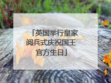 英国举行皇家阅兵式庆祝国王官方生日