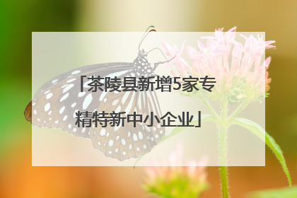 茶陵县新增5家专精特新中小企业