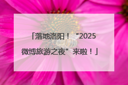 落地洛阳！“2025微博旅游之夜”来啦！