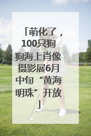 萌化了，100只狗狗海上肖像摄影展6月中旬“黄海明珠”开放