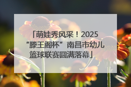 萌娃秀风采！2025“滕王阁杯”南昌市幼儿篮球联赛圆满落幕