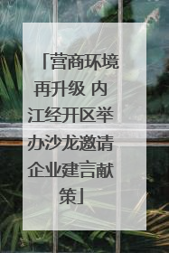 营商环境再升级 内江经开区举办沙龙邀请企业建言献策