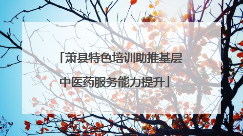 萧县特色培训助推基层中医药服务能力提升