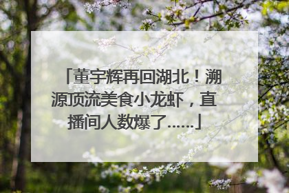 董宇辉再回湖北！溯源顶流美食小龙虾，直播间人数爆了……